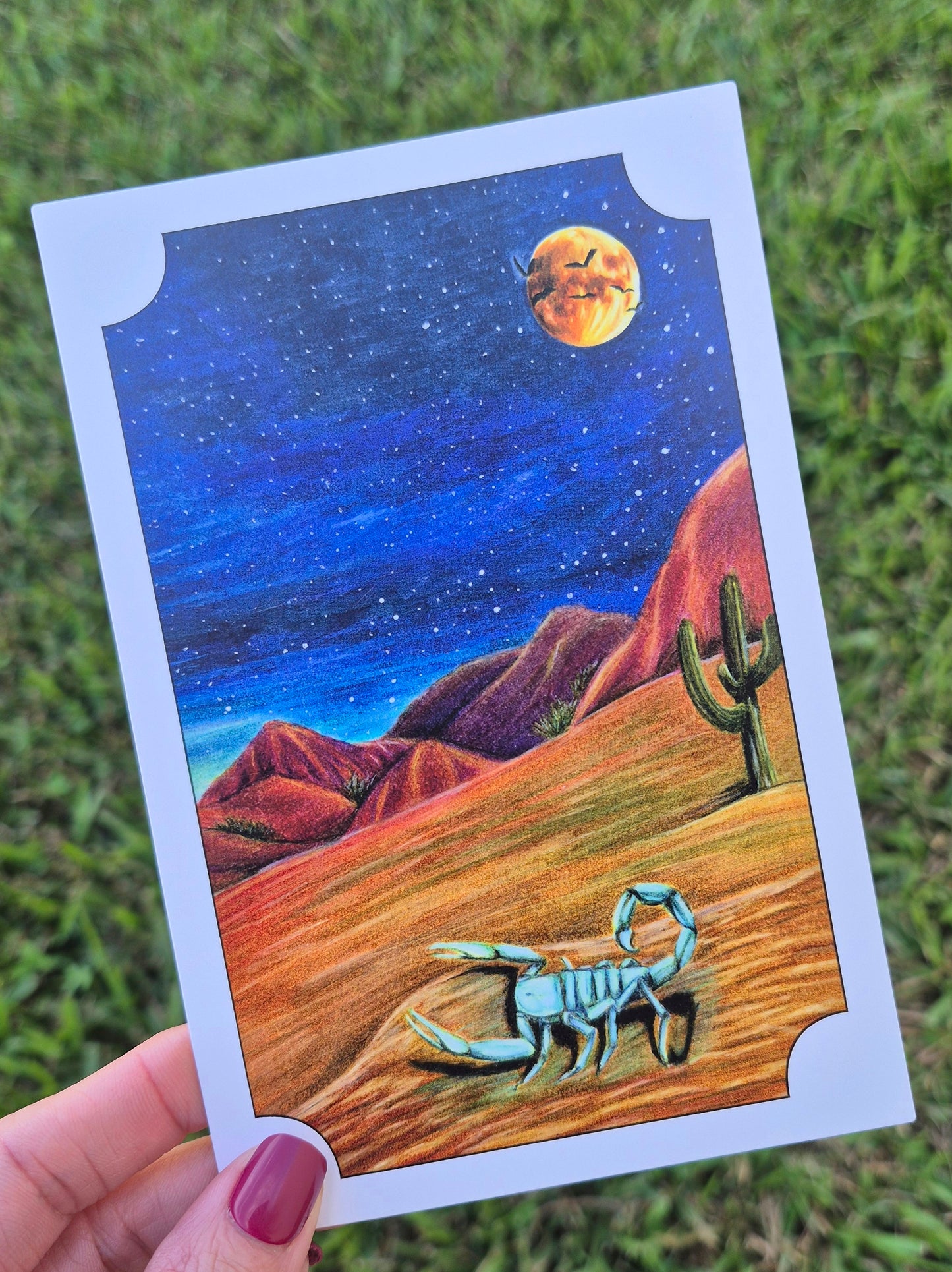 Arizona Bark Scorpion Postcard