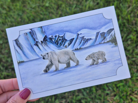 Polar Bear Postcard