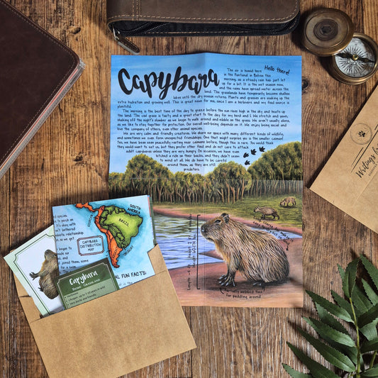 Capybara BASIC Letter February 2026