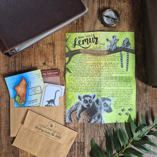 Lemur BASIC Letter May 2026