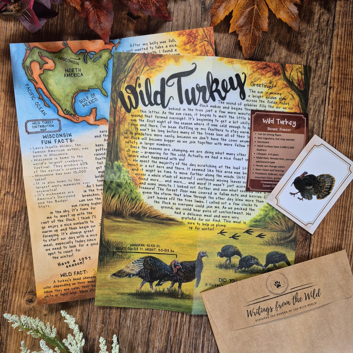 Wild Turkey BASIC Letter November 2024
