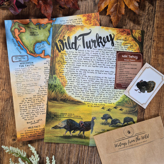 Wild Turkey BASIC Letter November 2024