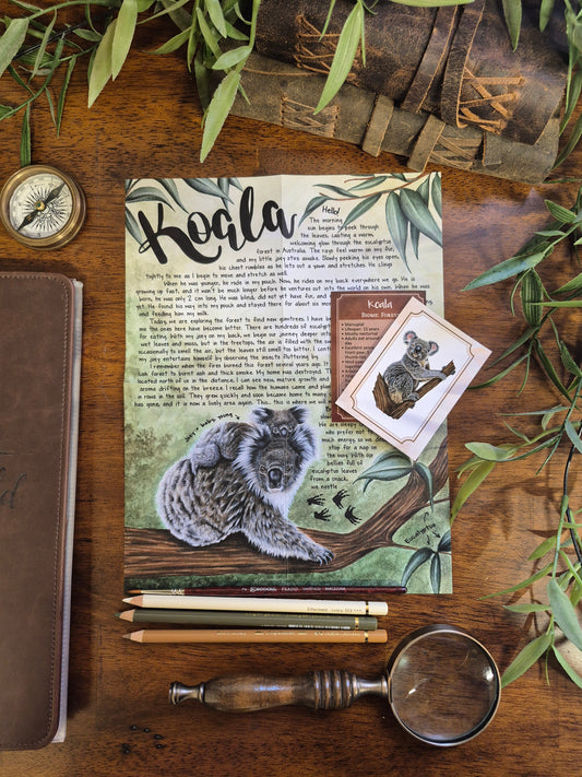 Koala BASIC Letter November 2025