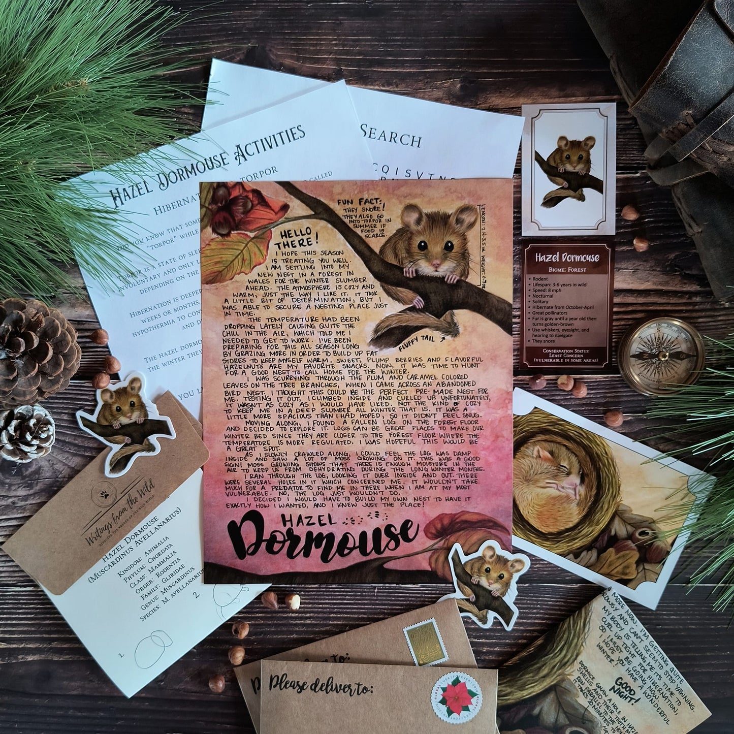 Hazel Dormouse PREMIUM Letter November 2023