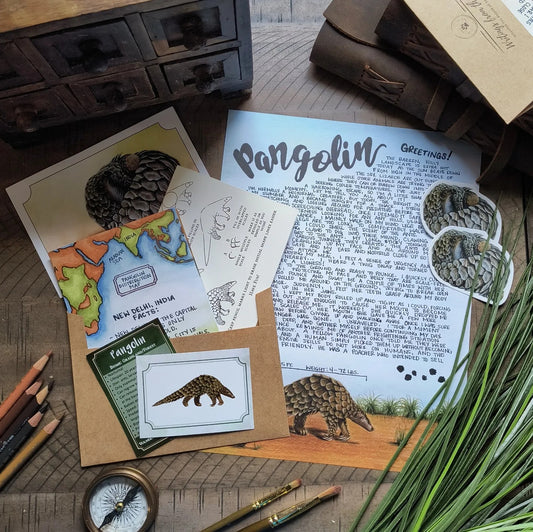 Pangolin BASIC Letter July 2024