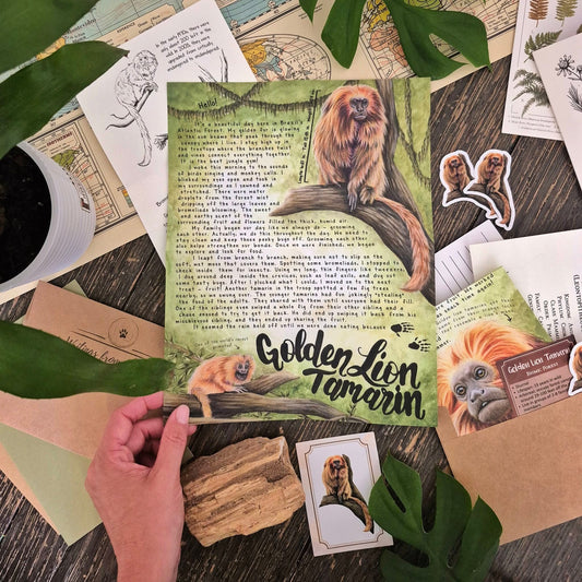 Golden Lion Tamarin PREMIUM Letter July 2025