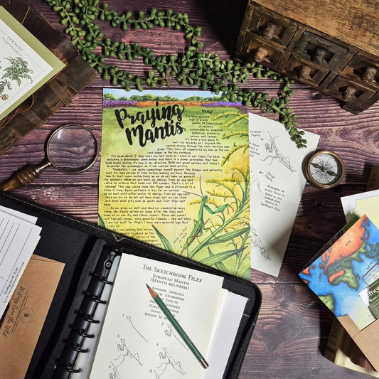 Praying Mantis PREMIUM Letter August 2025