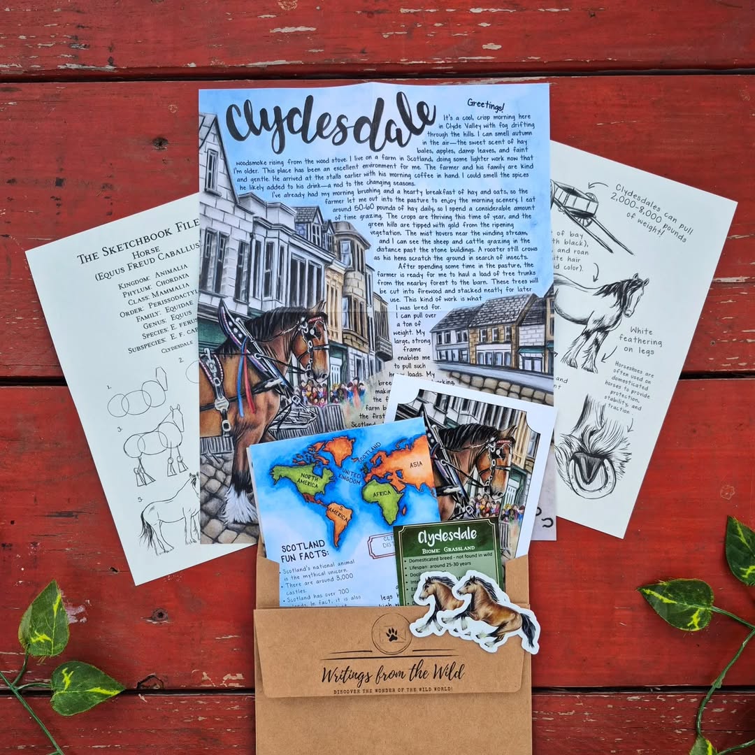 Clydesdale PREMIUM Letter September 2025