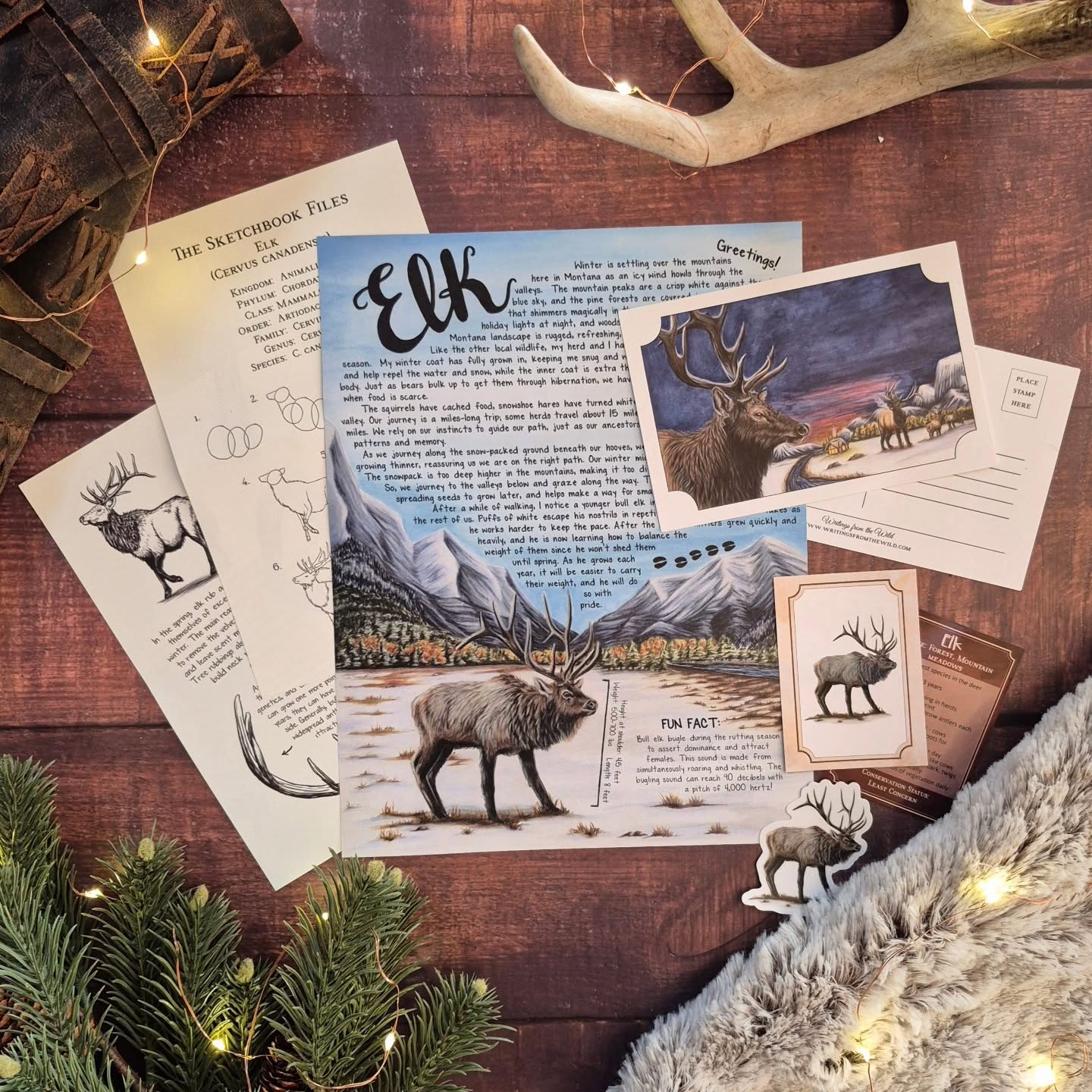 Elk PREMIUM Letter December 2025