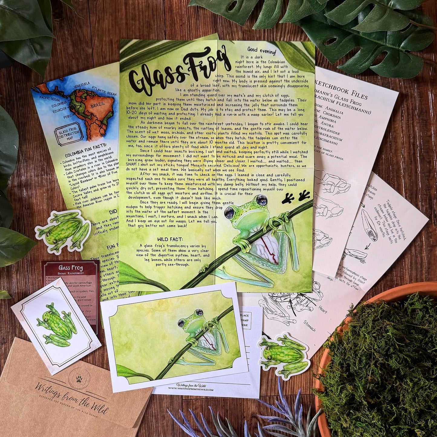 Glass Frog PREMIUM April 2026