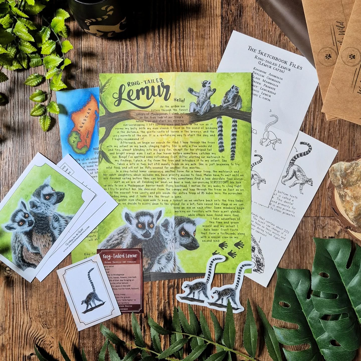 Lemur PREMIUM Letter May 2026