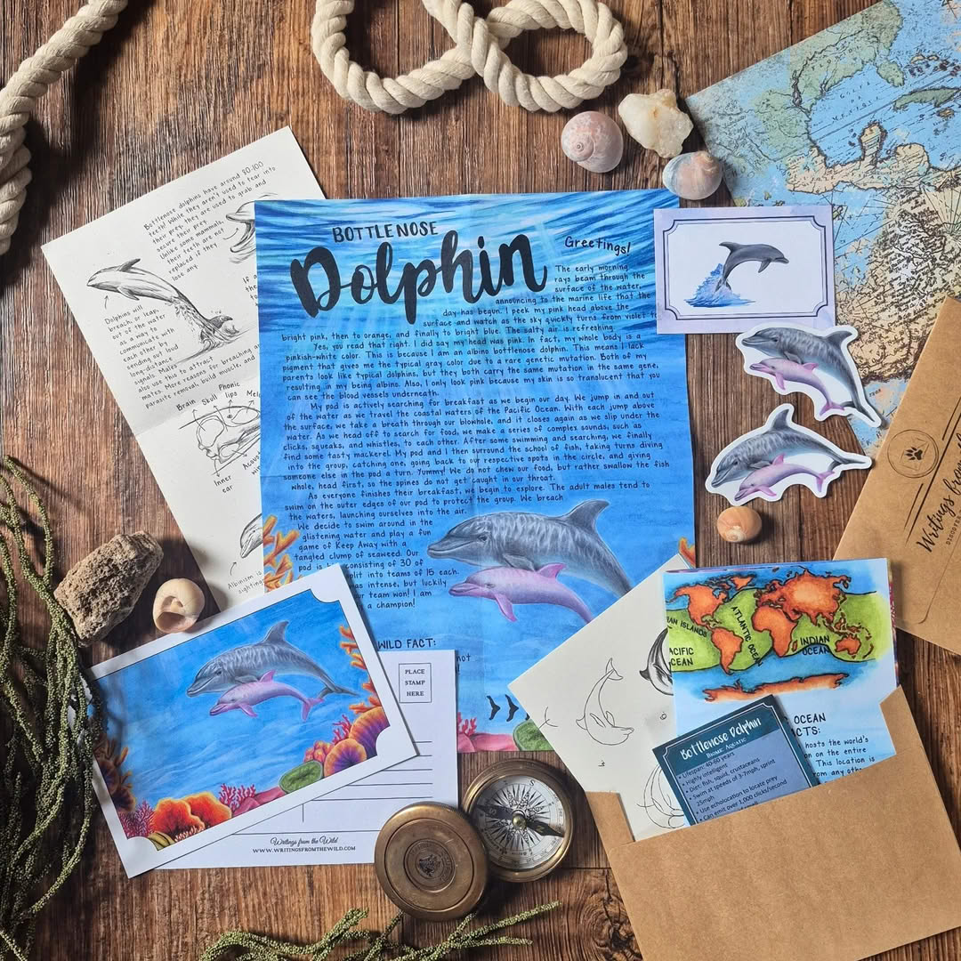Bottlenose Dolphin PREMIUM Letter June 2026