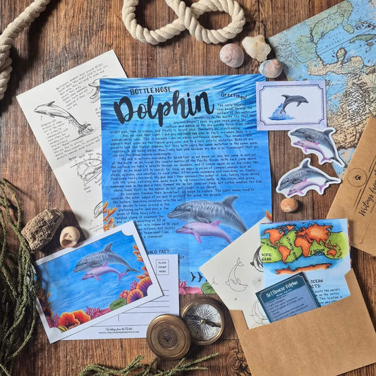 Bottlenose Dolphin PREMIUM Letter June 2026