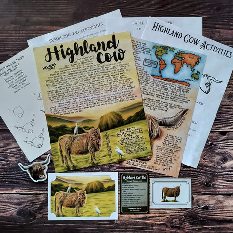 Highland Cow PREMIUM Letter June 2023