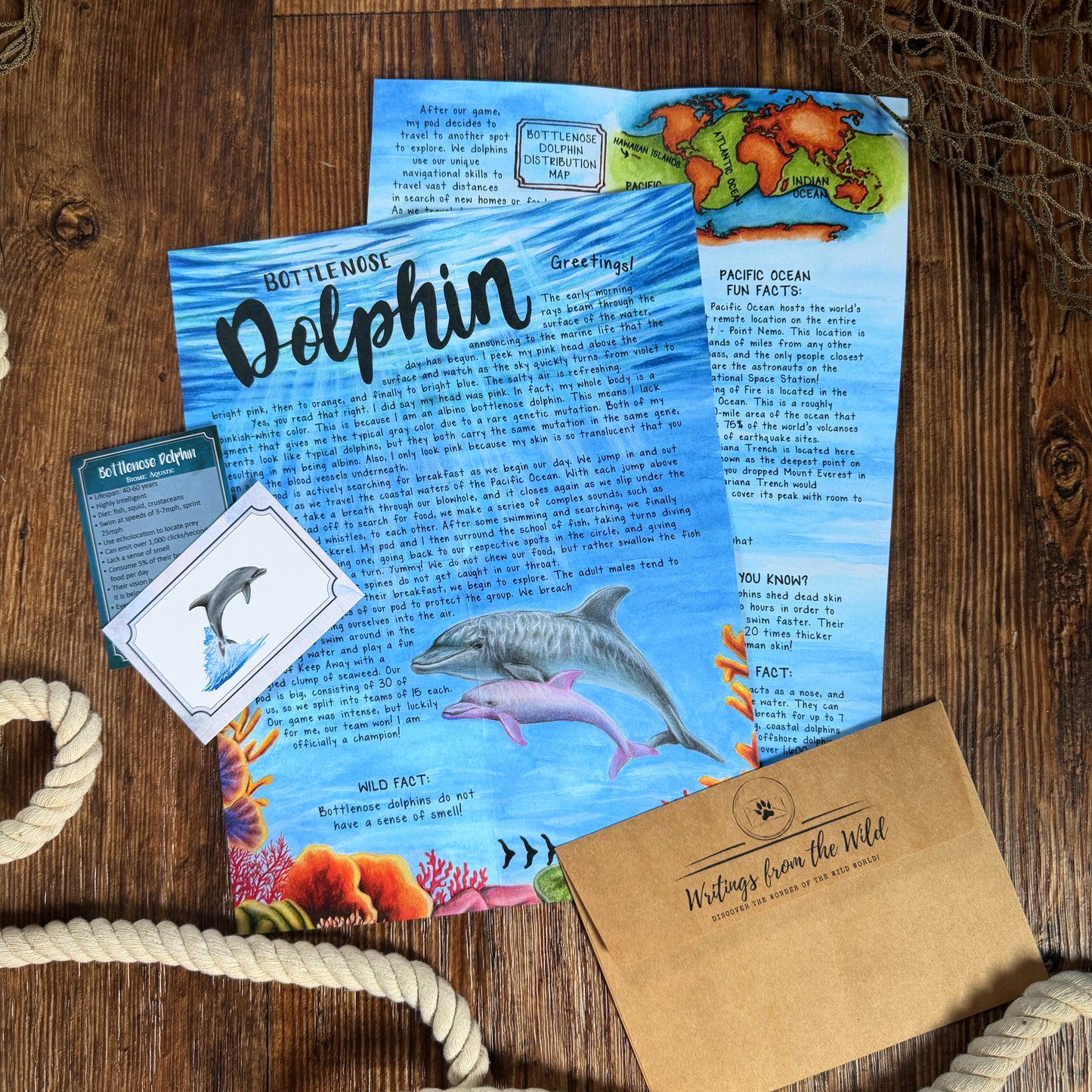 Bottlenose Dolphin BASIC Letter June 2026