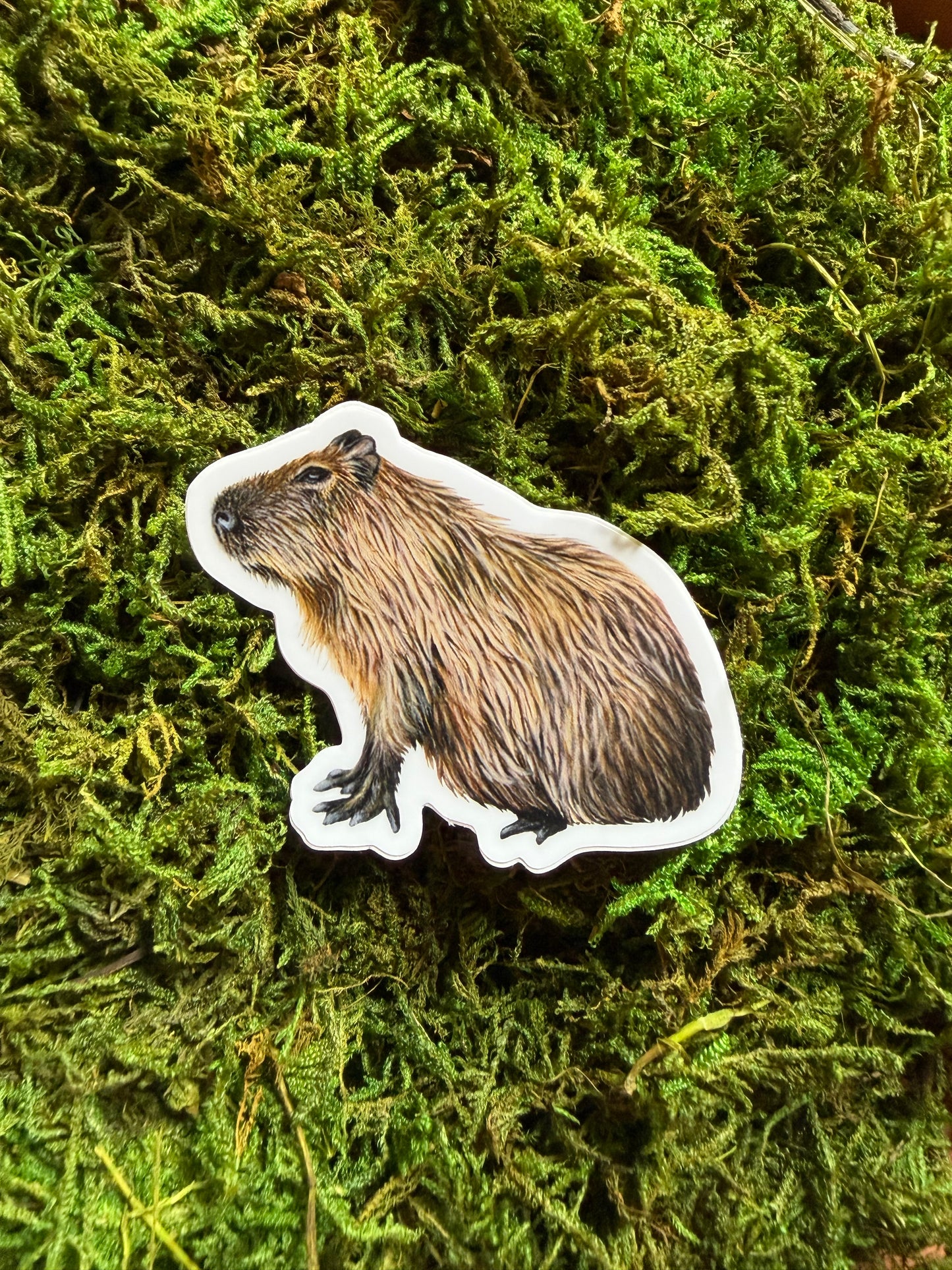 Capybara Sticker