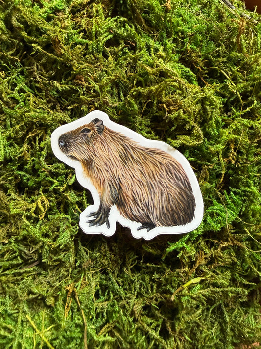 Capybara Sticker