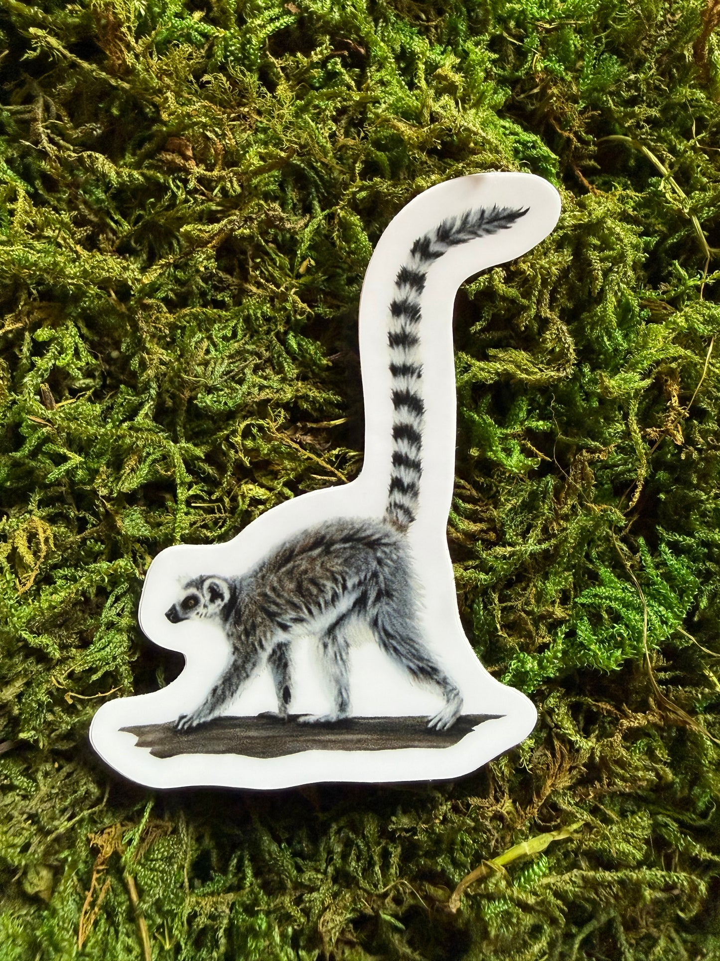 Lemur Sticker
