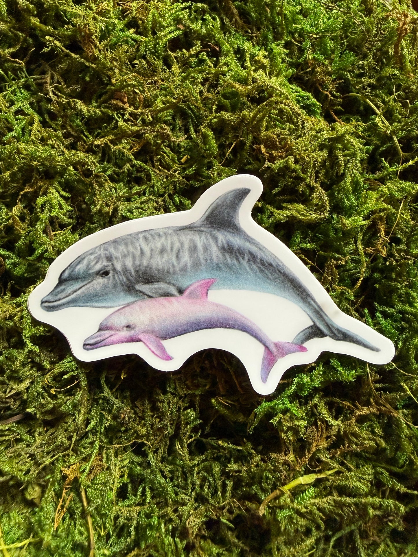 Bottlenose Dolphin Sticker