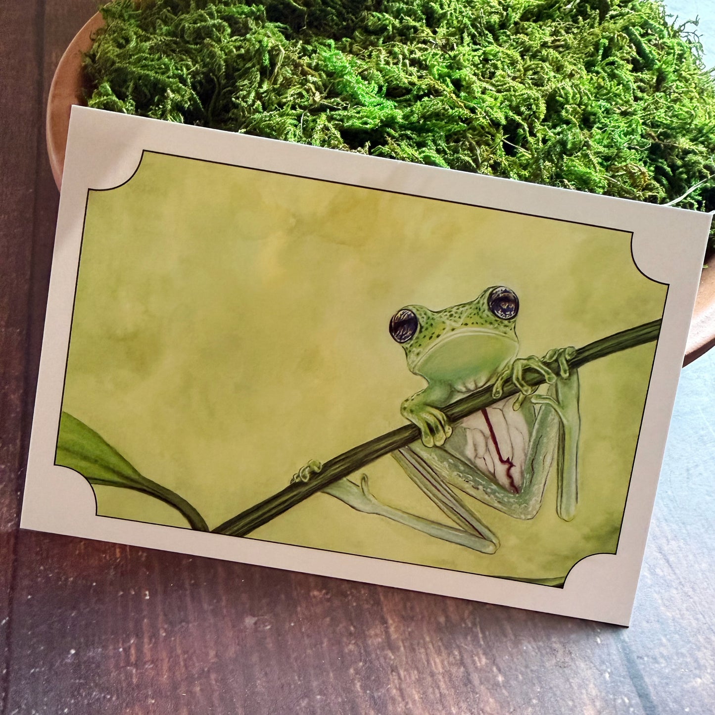 Glass Frog Postcard