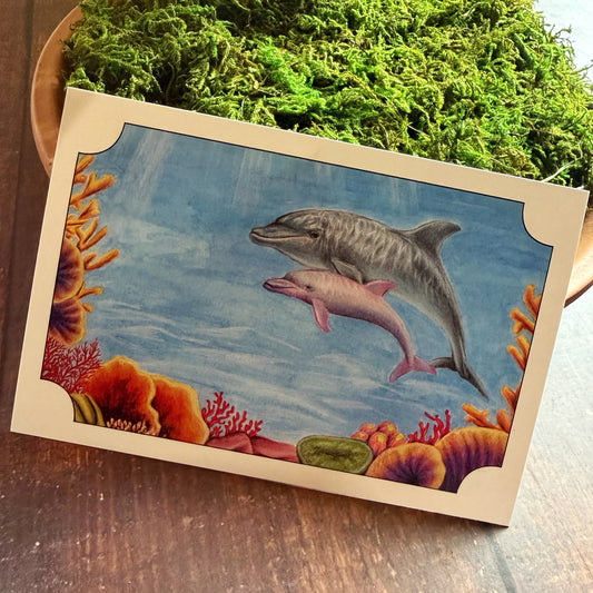 Bottlenose Dolphin Postcard