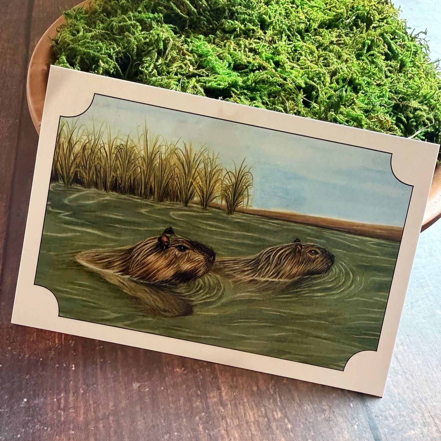 Capybara Postcard