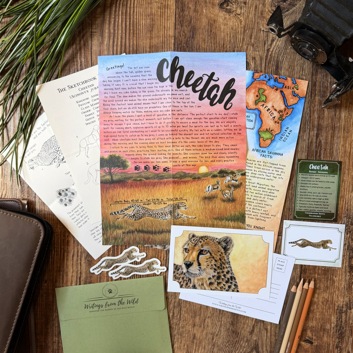 Cheetah PREMIUM Letter August 2026