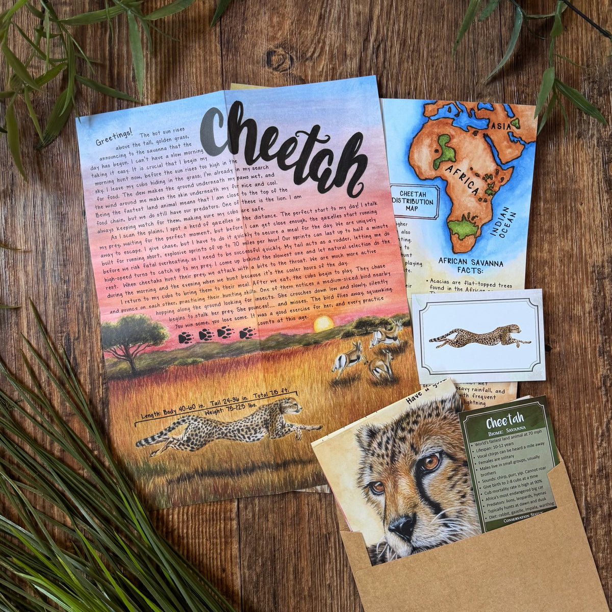 Cheetah BASIC Letter August 2026