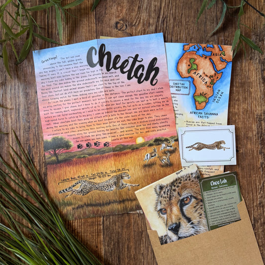 Cheetah BASIC Letter August 2026
