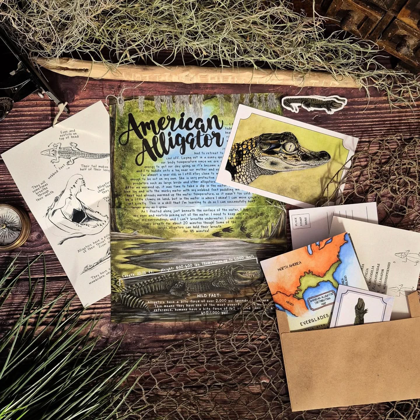 American Alligator PREMIUM Letter - April 2025