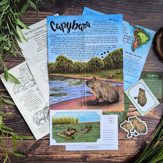 Capybara PREMIUM Letter February 2026
