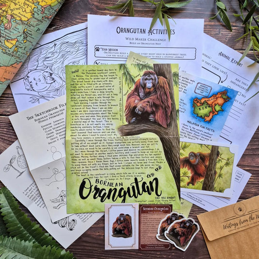 Bornean Orangutan PREMIUM March 2026