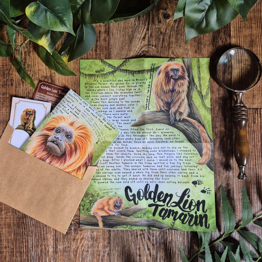 Golden Lion Tamarin BASIC Letter July 2025