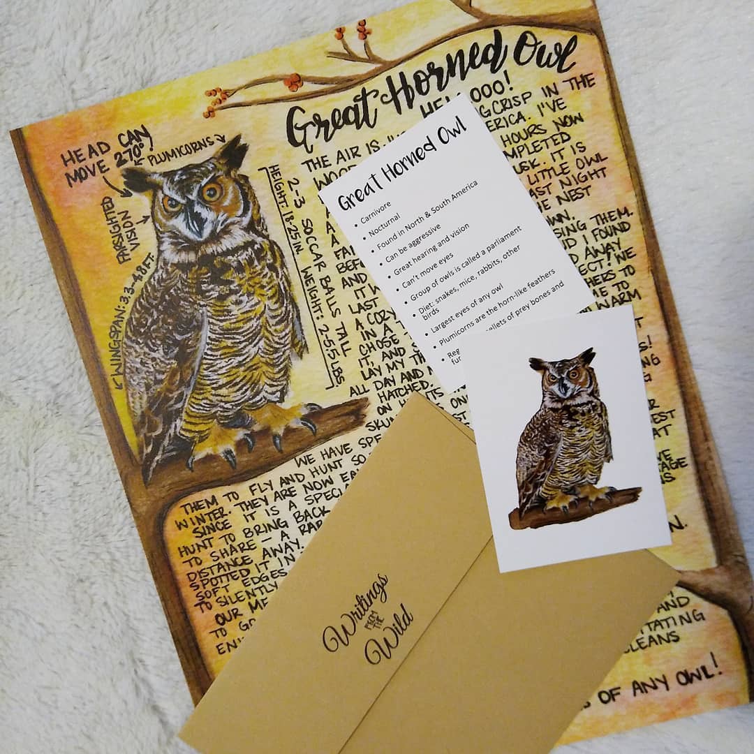 Great Horned Owl Letter October 2020