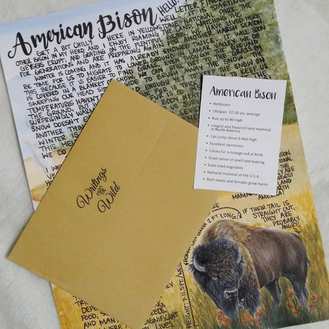 American Bison Letter November 2020