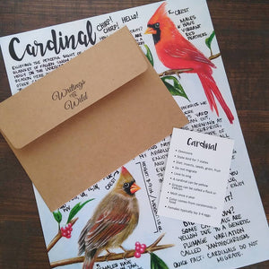 Cardinal Letter December 2020