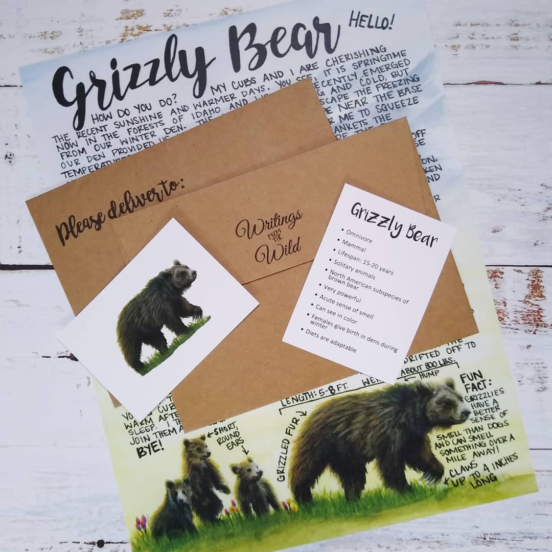 Grizzly Bear April 2021