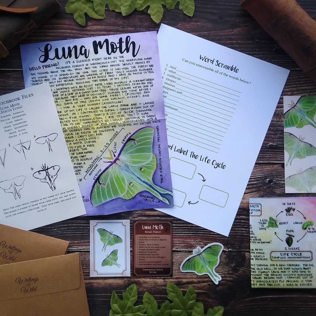 Luna Moth PREMIUM Letter October 2022