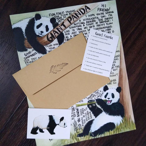 Panda Letter March 2020
