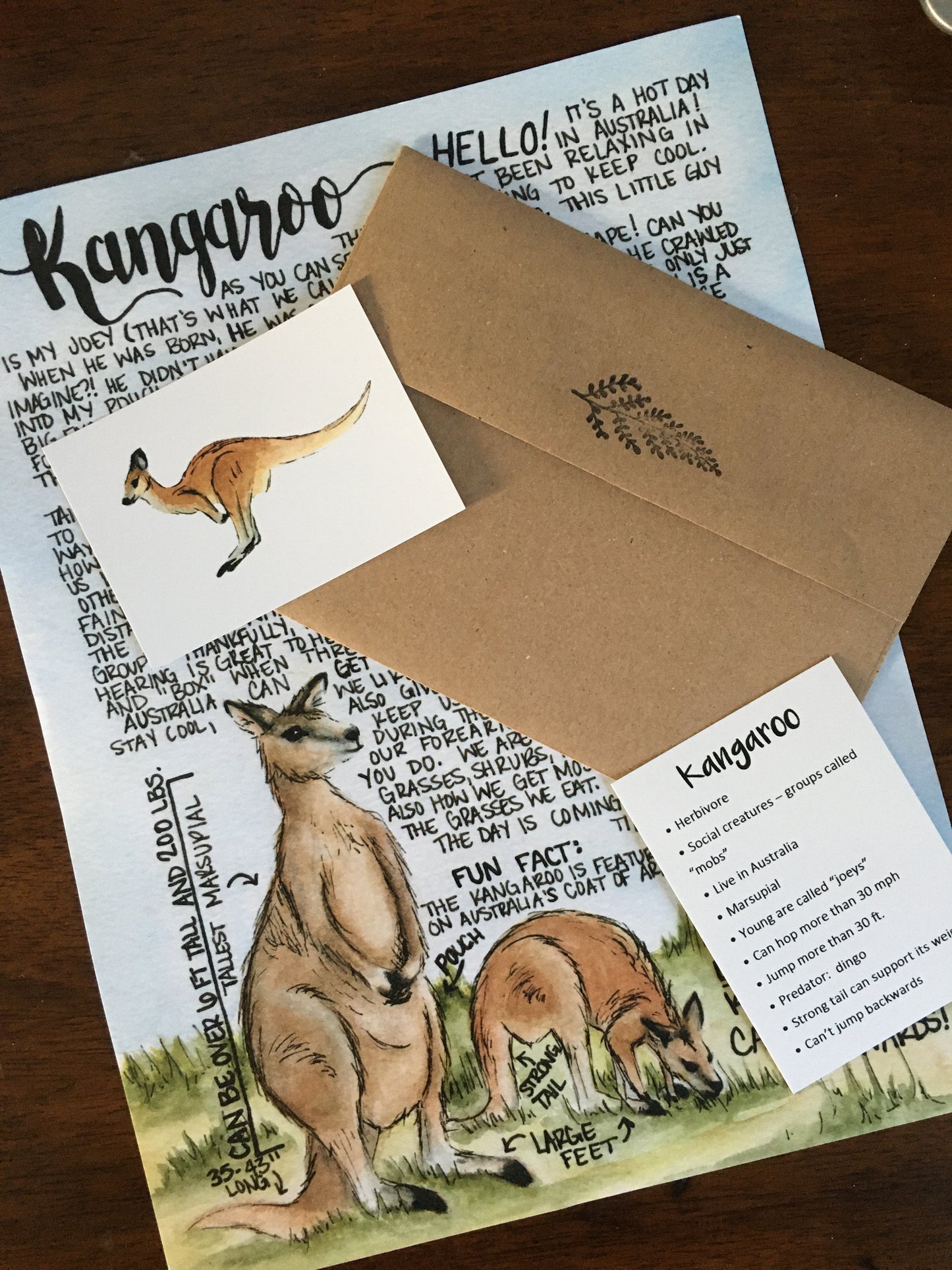 Kangaroo Letter February 2020