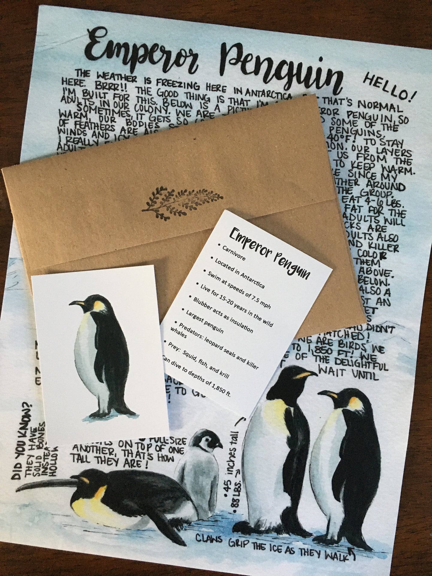 Emperor Penguin Letter January 2020