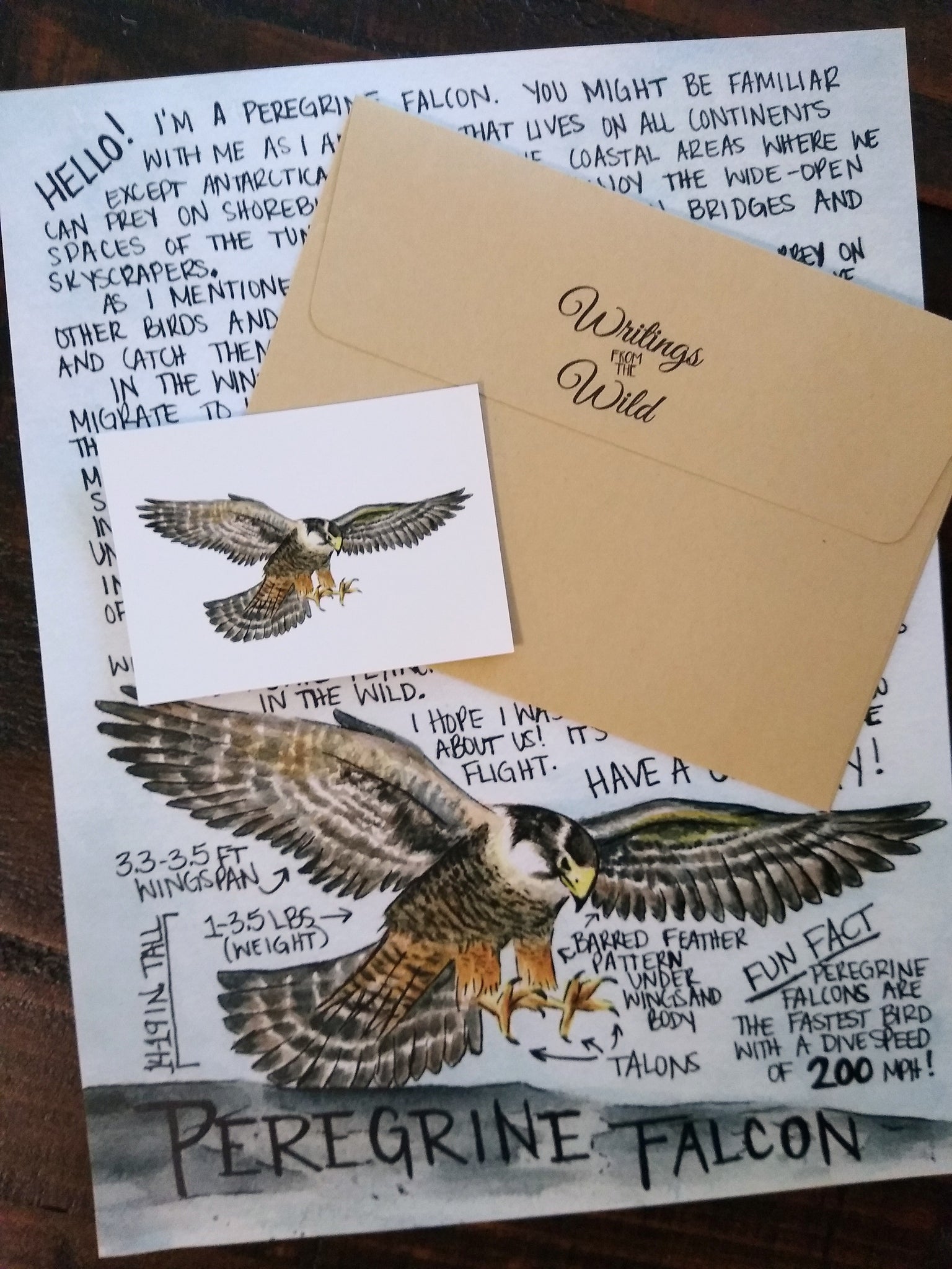 June 2019 Peregrine Falcon Letter
