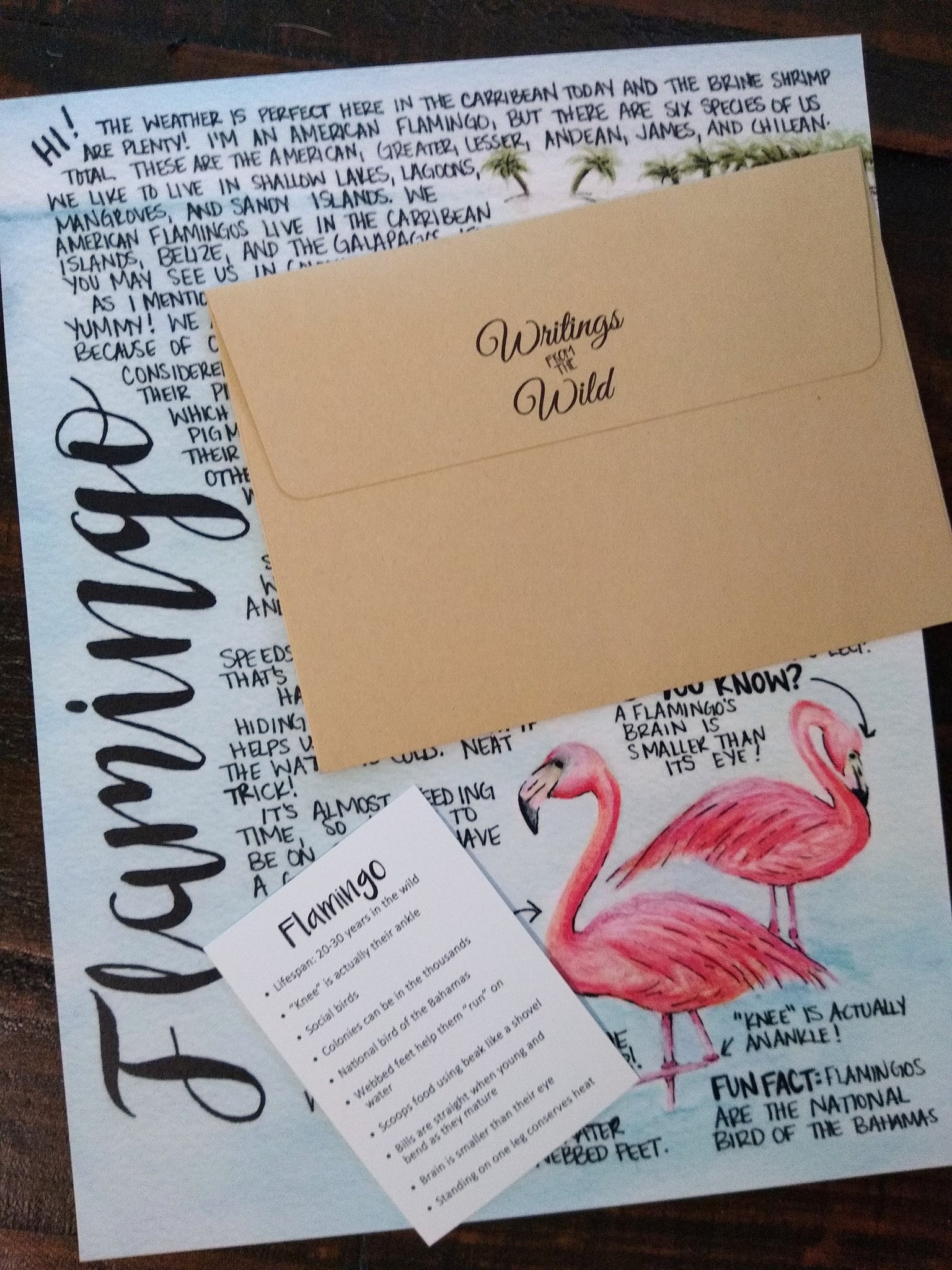 Flamingo Letter August 2019