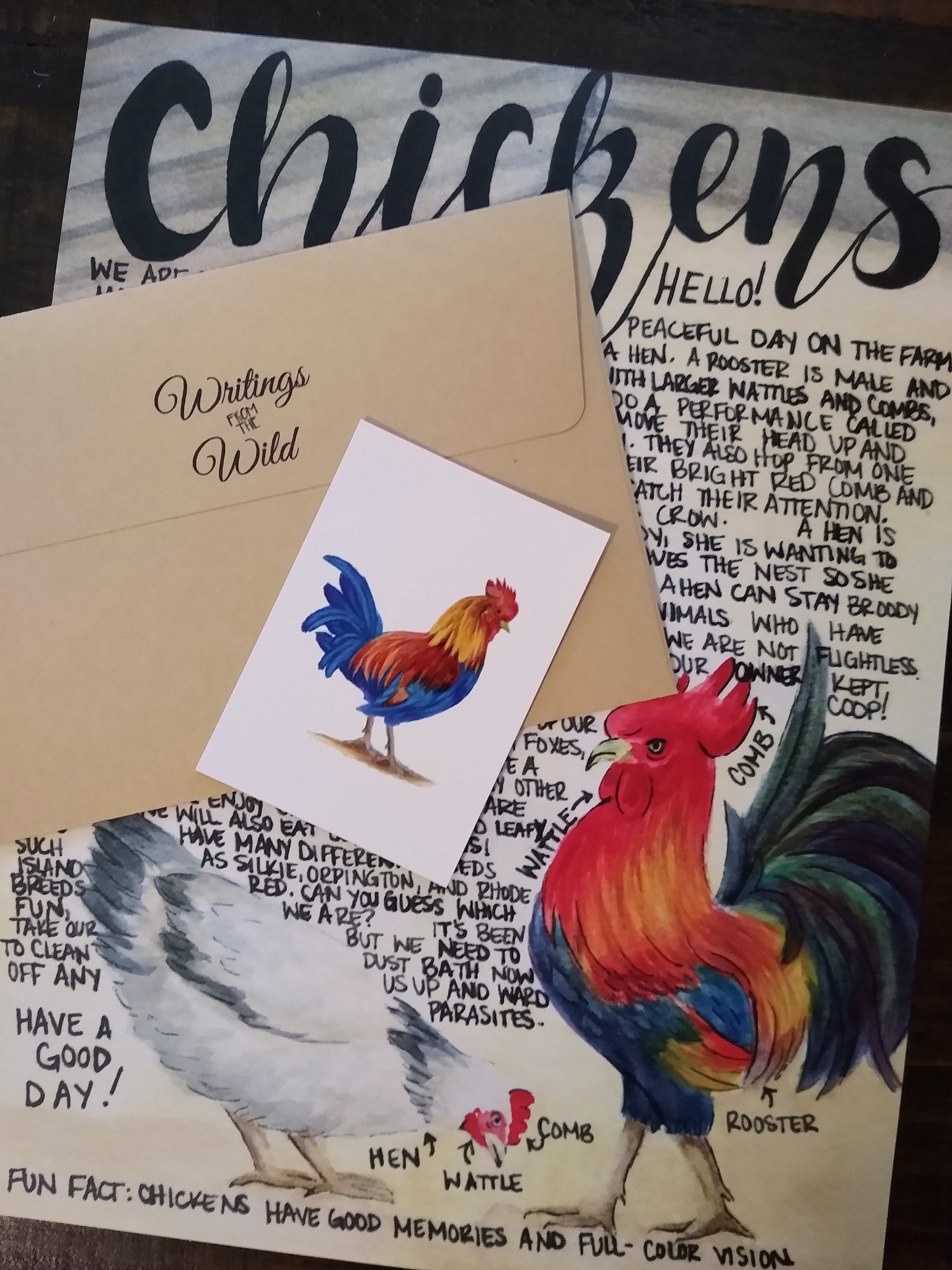 Chicken Letter September 2019