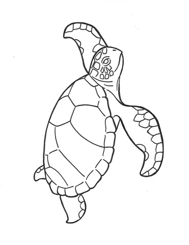 Sea Turtle Activity Sheet