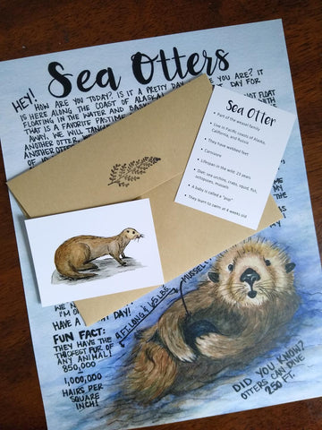 Sea Otter May 2020